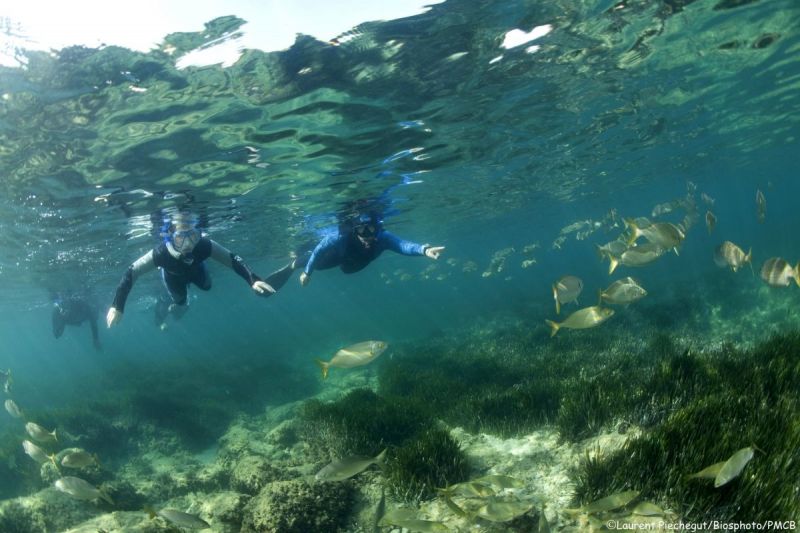 Plongée sous marine Carry