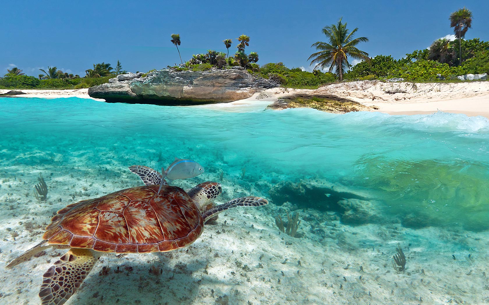 playa del carmen mexique