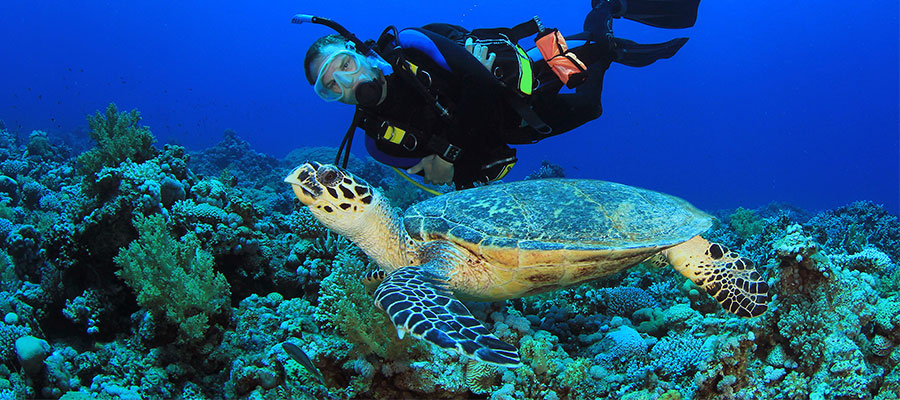 Cozumel