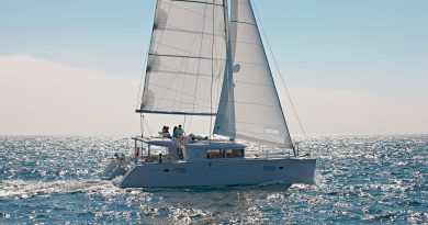 Catamaran Lagon 450 S