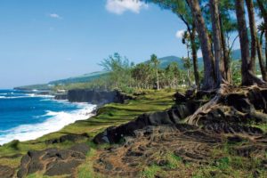 littoral de la réunion