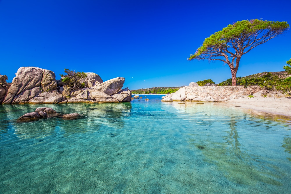 La plage de Palombaggia à Porto Vecchio