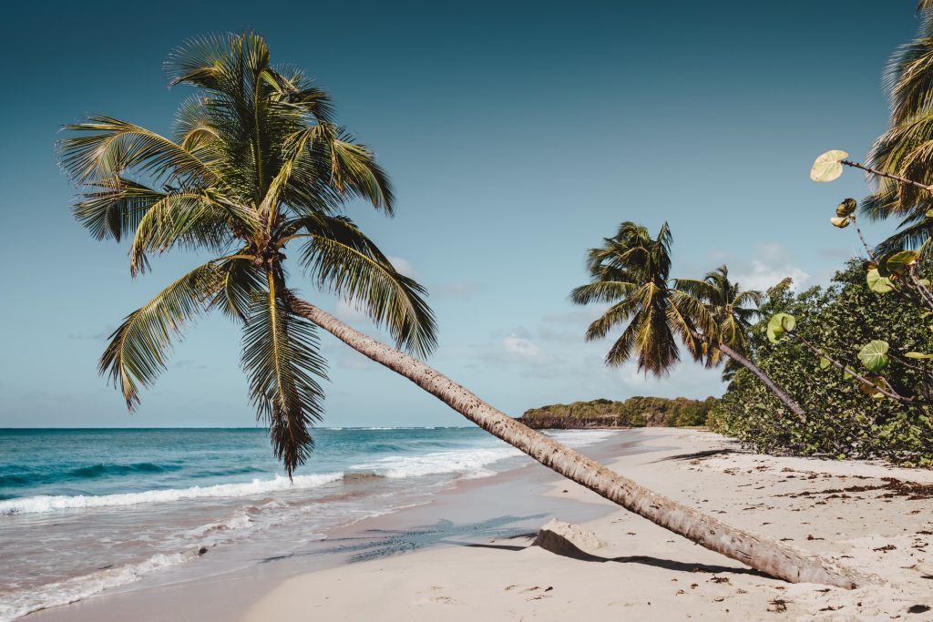 Plage de Martinique