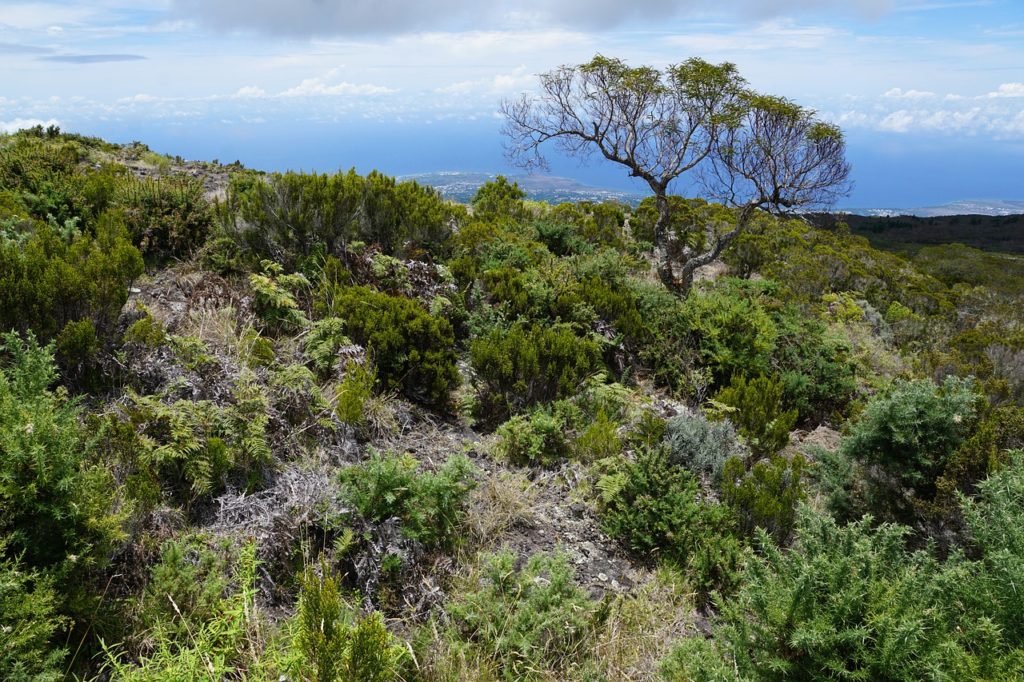 ile de la Réunion pour les vacances de la Toussaint