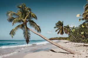 Plage Martinique