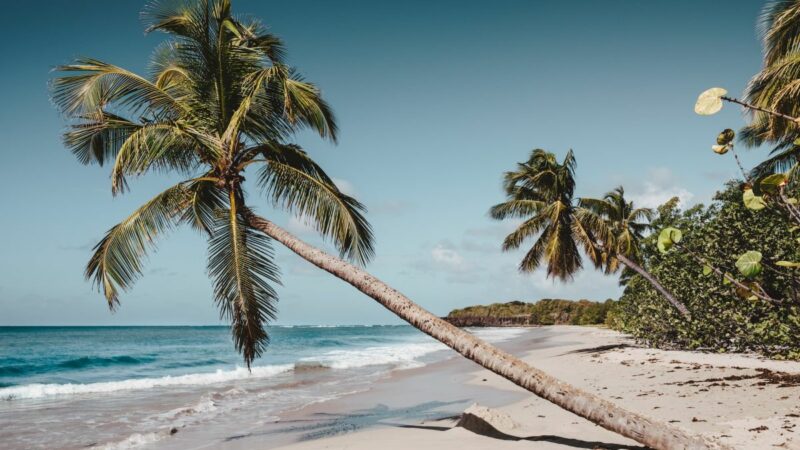 La Martinique, la destination tendance pour un hiver au soleil !