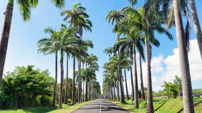 Visitez la Guadeloupe en road trip