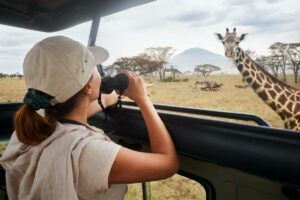 Destination safari animaux
