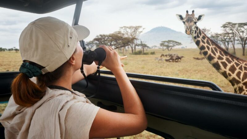 Les plus belles destinations pour un safari