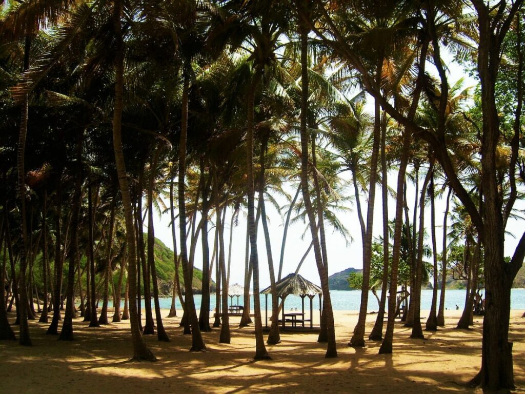 Guadeloupe plage restaurant