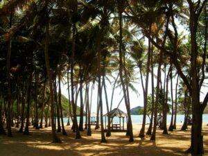 Guadeloupe plage restaurant