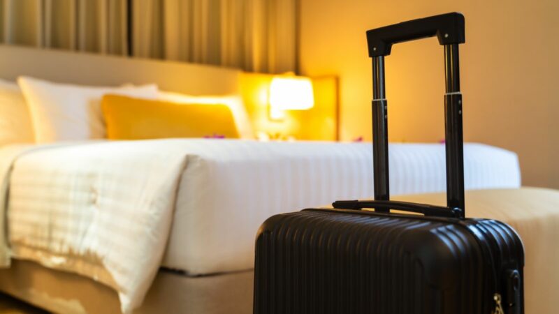 Comment choisir sa valise soute ?