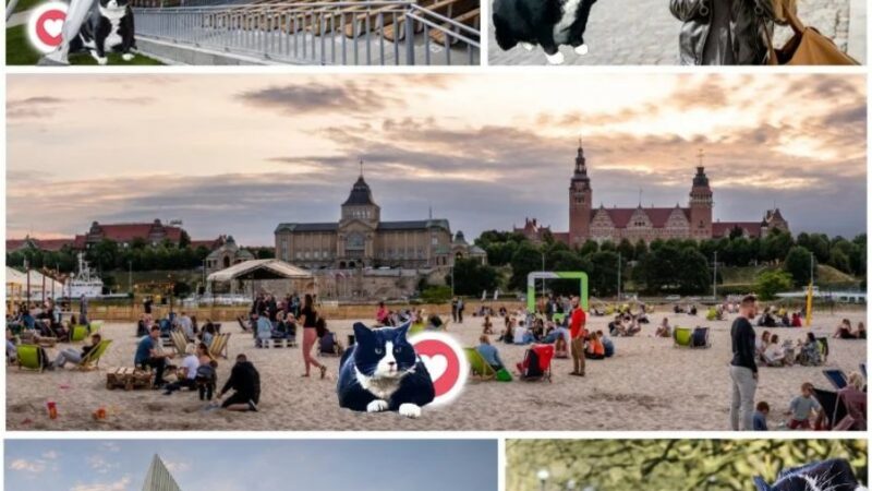 le chat Gacek, nouvelle attraction touristique en Pologne