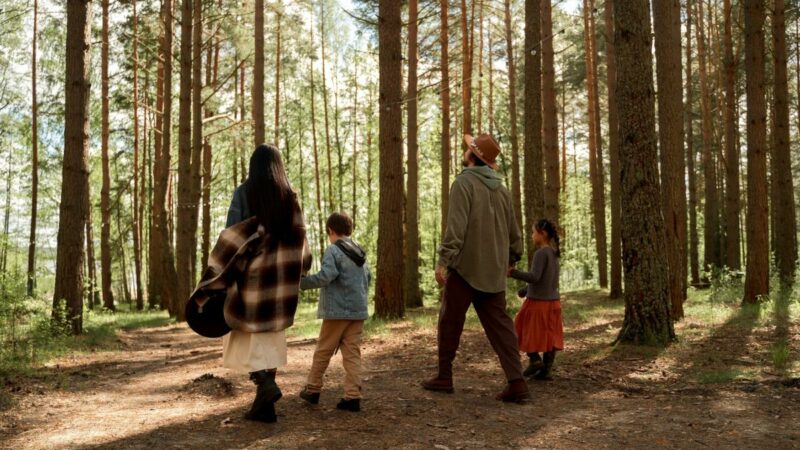 Top 5 des randonnées à faire en famille au Québec