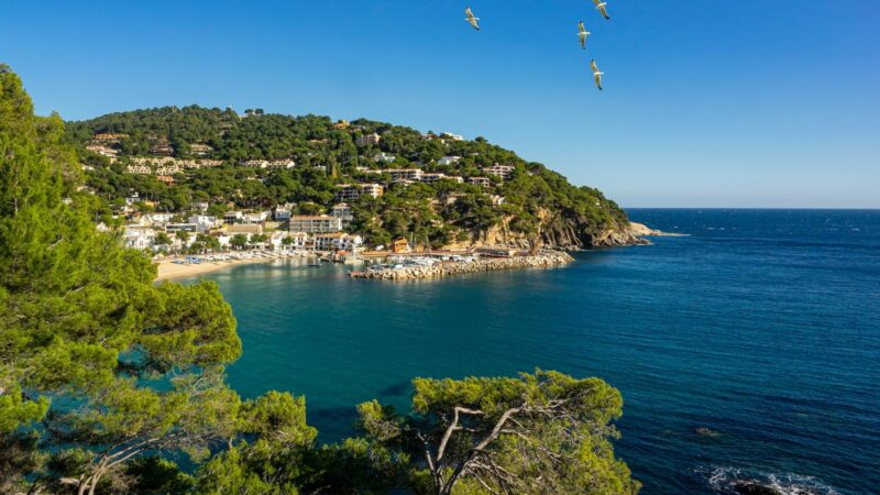 Le succès des locations de vacances en Espagne