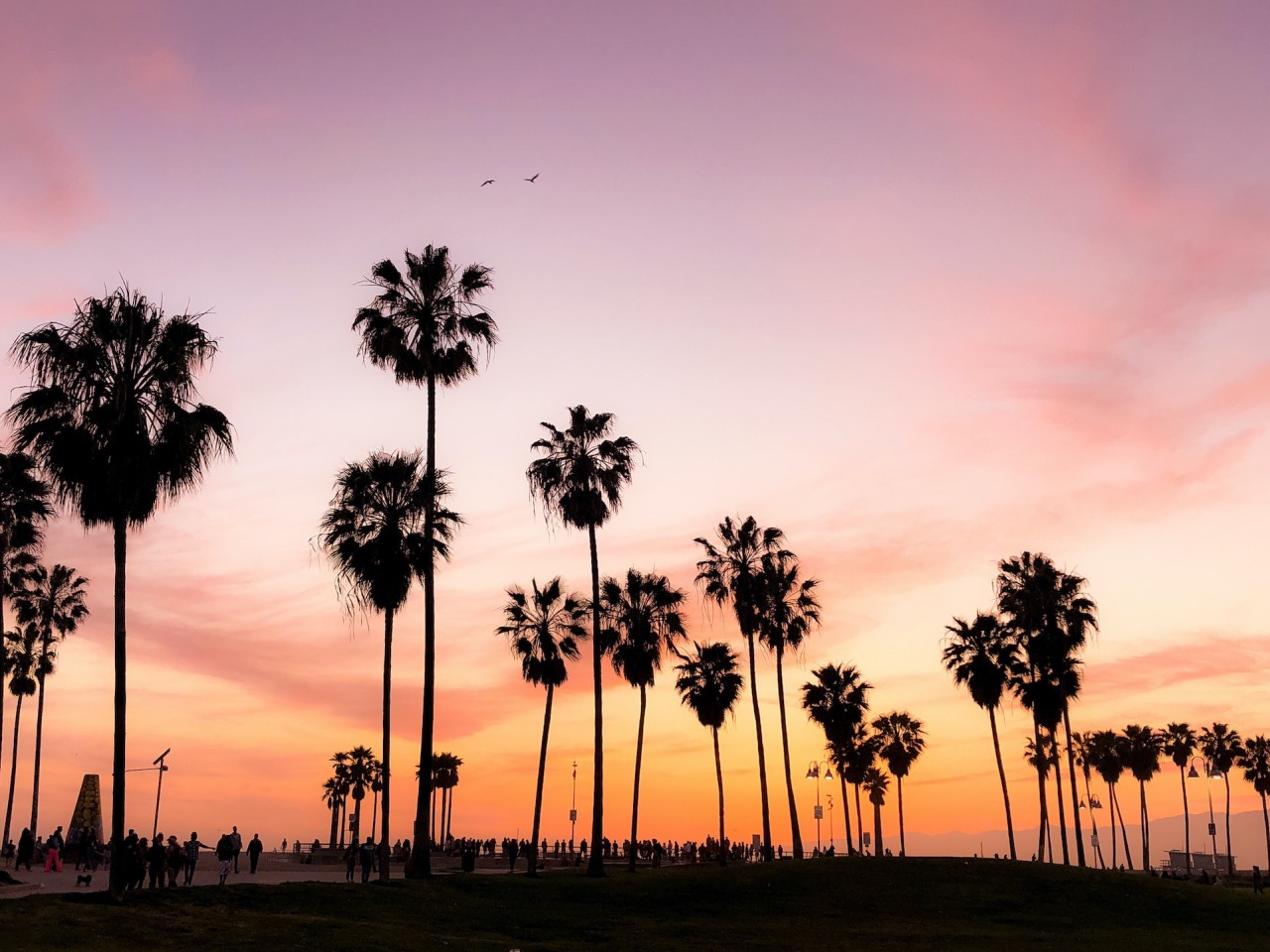 Californie Venice Beach