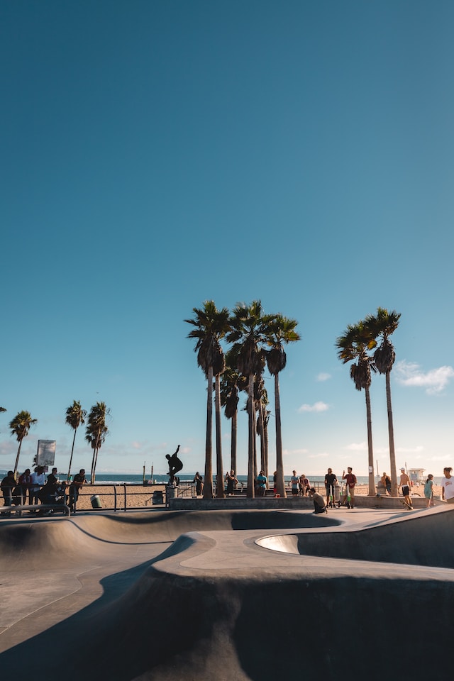 Venice Beach skate park