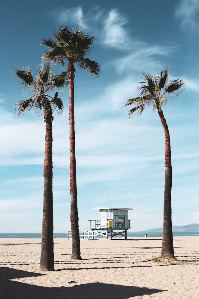 Venice Beach