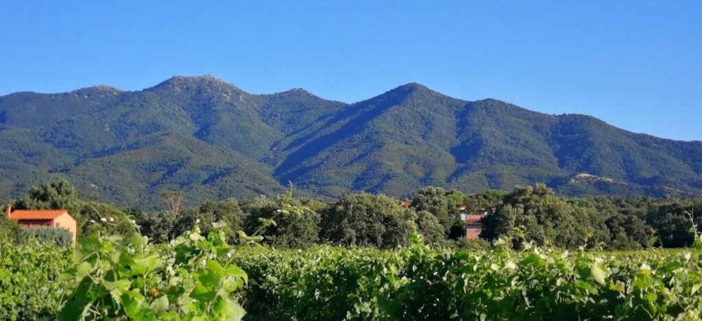 la chaîne des Albères