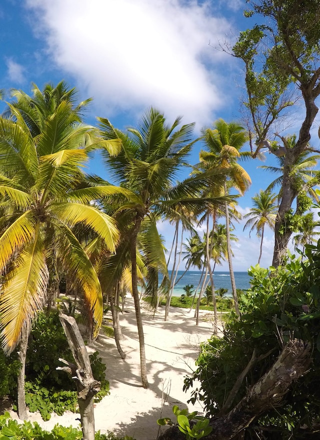 Plage de Sainte Anne en Martinique