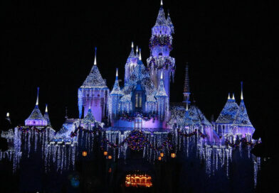 organisez une visite pour les familles a Disneyland Paris