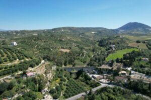 Knossos et vigne en Crète