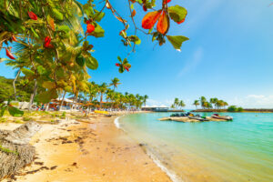Pointe à Pitre
