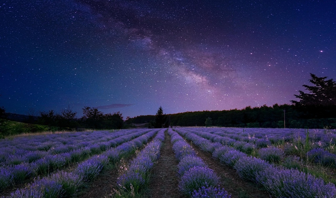 Nocturisme champ de lavande la nuit