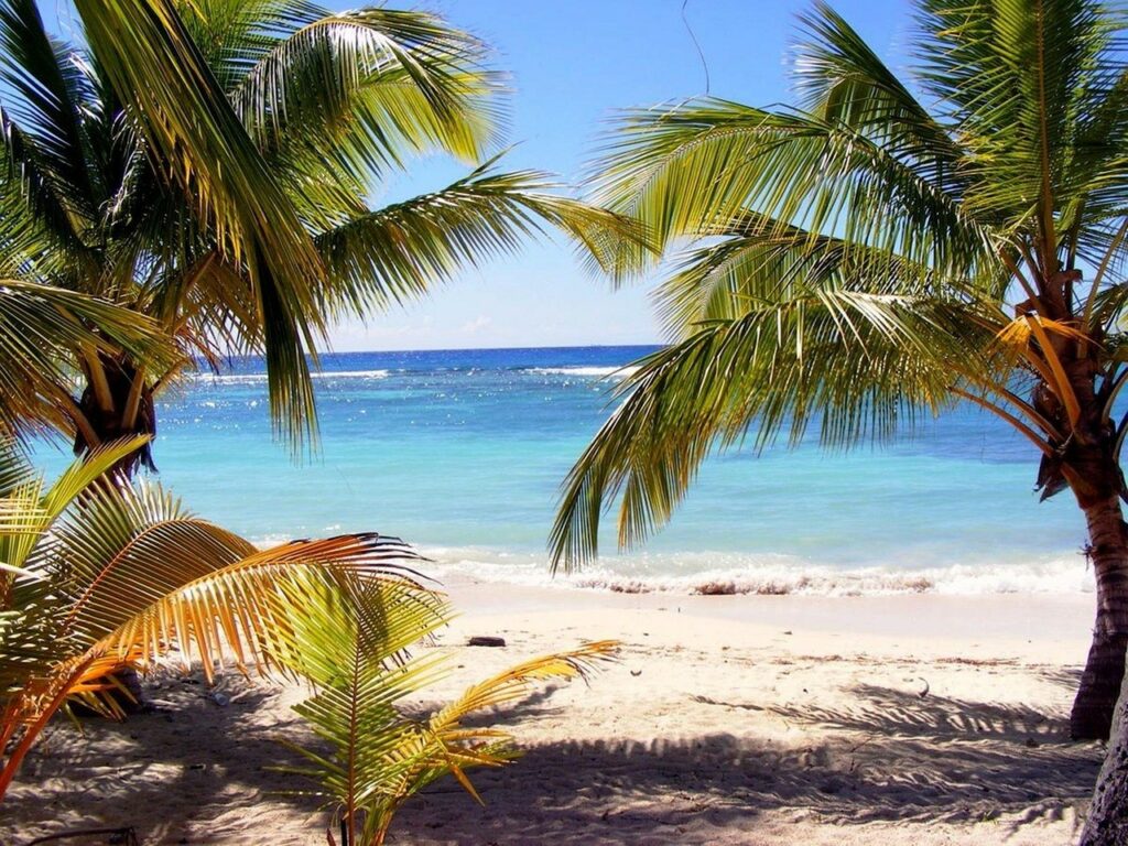 Plage de la Dominique