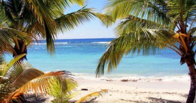 Plage de la Dominique