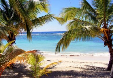 Plage de la Dominique