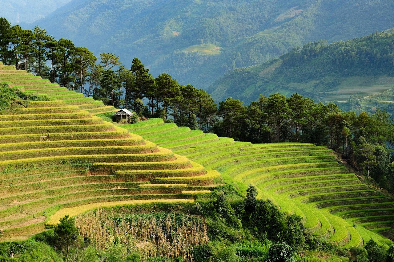 Visiter le vietnam en novembre