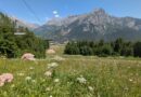 La montagne en été