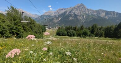 La montagne en été