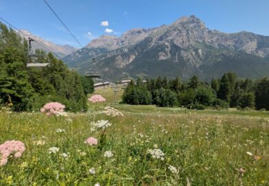 La montagne en été