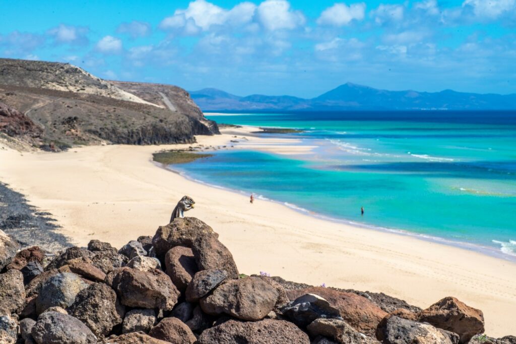 Fuerteventura à la Toussaint