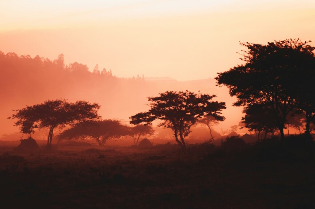 Tourisme responsable au Rwanda