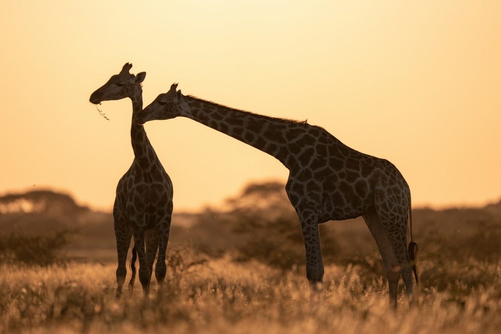 Botswana